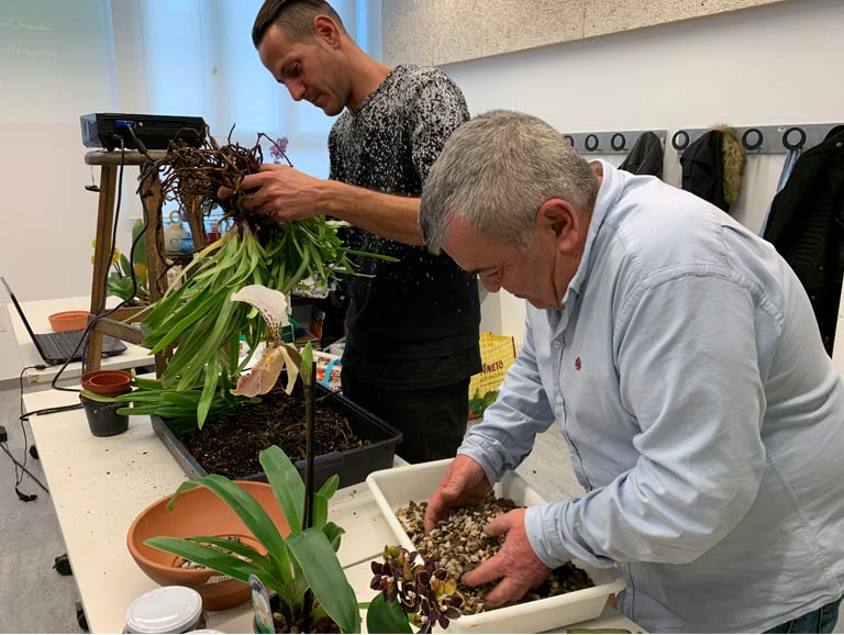 Curs teòric i pràctic de cultiu d’orquídies